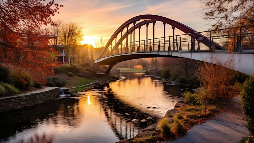 The Enigmatic Liberty Bridge